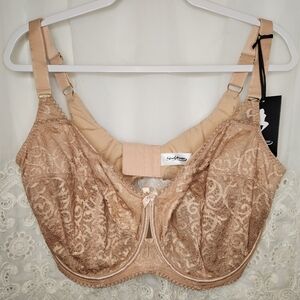 Panache Sculptresse Estel Full Cup Bra Lace Honey 42 H Lined Underwire NWT